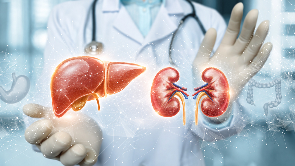 Saúde Hepática e Renal !